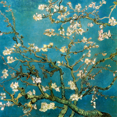 Mandelbaum in Blüte Vincent van Gogh